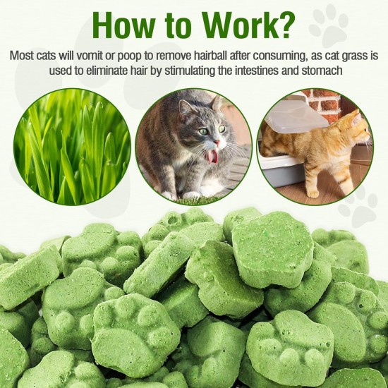50 g Cat Grass Snacks, Freeze-Dried Snacks for Cats, Cat Grass Ready Grown for Dental Care, Cat Grass Sticks Hair Balls Removal 50 g Cat Grass Snacks, Freeze-Dried Snacks for Cats, Cat Grass Ready Grown for Dental Care, Cat Grass Sticks Hair Balls Removal