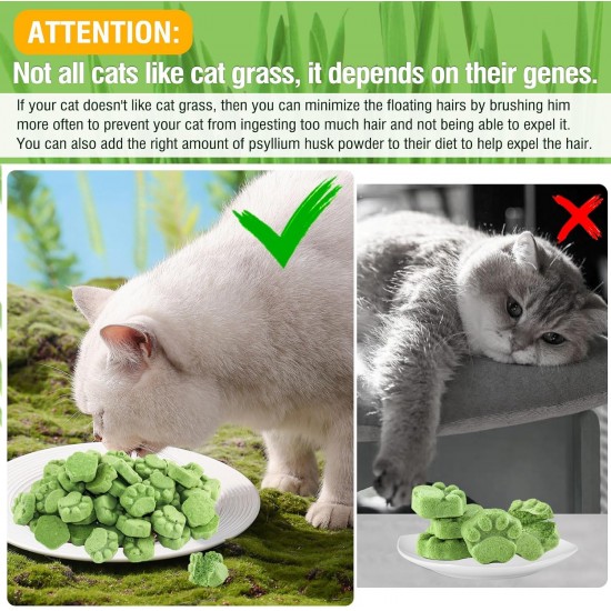 50 g Cat Grass Snacks, Freeze-Dried Snacks for Cats, Cat Grass Ready Grown for Dental Care, Cat Grass Sticks Hair Balls Removal 50 g Cat Grass Snacks, Freeze-Dried Snacks for Cats, Cat Grass Ready Grown for Dental Care, Cat Grass Sticks Hair Balls Removal
