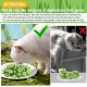 50 g Cat Grass Snacks, Freeze-Dried Snacks for Cats, Cat Grass Ready Grown for Dental Care, Cat Grass Sticks Hair Balls Removal 50 g Cat Grass Snacks, Freeze-Dried Snacks for Cats, Cat Grass Ready Grown for Dental Care, Cat Grass Sticks Hair Balls Removal