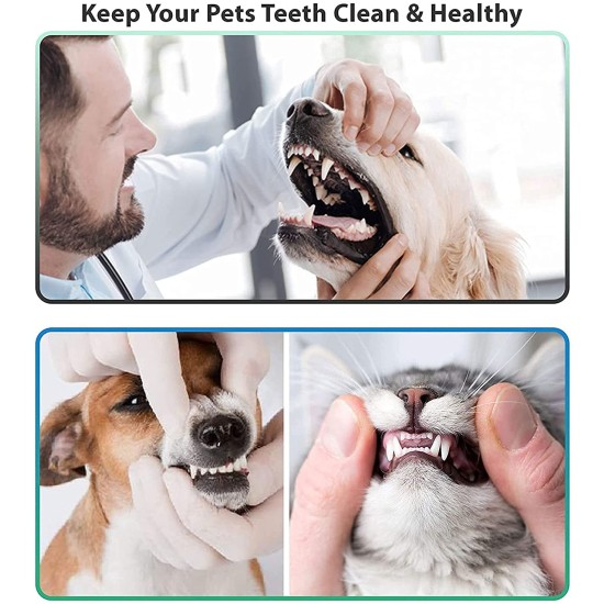 AFTREN Tartar Remover Dental Care Supplies Dog Tooth Cleaner Tartar Remover with Two Heads Teeth Whitening Accessories for Pets Men and Women AFTREN Tartar Remover Dental Care Supplies Dog Tooth Cleaner Tartar Remover with Two Heads Teeth Whitening Accessories for Pets Men and Women