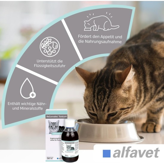 Alfavet ReConvales Tonic for Cats | Pack of 3 | 3 x 280 ml | Diet Supplementary Feed | For Convalescence, Underweight and Hepatic Lipidosis of Cats Alfavet ReConvales Tonic for Cats | Pack of 3 | 3 x 280 ml | Diet Supplementary Feed | For Convalescence, Underweight and Hepatic Lipidosis of Cats