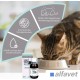 Alfavet ReConvales Tonic for Cats | Pack of 3 | 3 x 280 ml | Diet Supplementary Feed | For Convalescence, Underweight and Hepatic Lipidosis of Cats Alfavet ReConvales Tonic for Cats | Pack of 3 | 3 x 280 ml | Diet Supplementary Feed | For Convalescence, Underweight and Hepatic Lipidosis of Cats