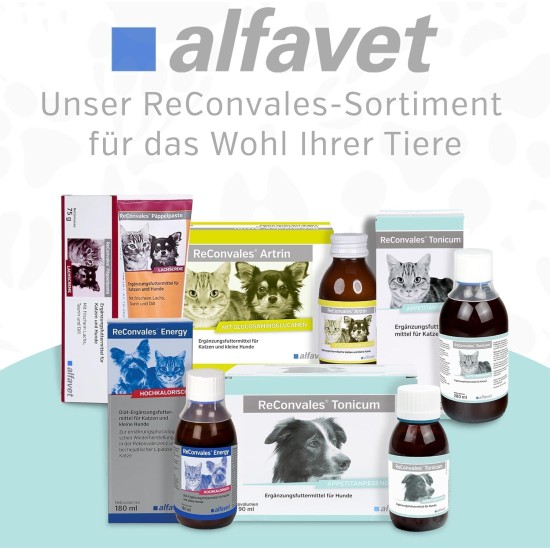 Alfavet ReConvales Tonic for Cats | Pack of 3 | 3 x 280 ml | Diet Supplementary Feed | For Convalescence, Underweight and Hepatic Lipidosis of Cats Alfavet ReConvales Tonic for Cats | Pack of 3 | 3 x 280 ml | Diet Supplementary Feed | For Convalescence, Underweight and Hepatic Lipidosis of Cats