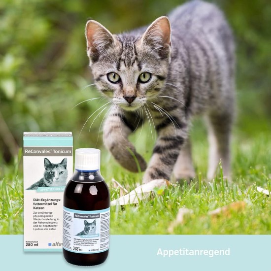 Alfavet Reconvales Tonicum for Cats, 1 per pack, 280 ml Alfavet Reconvales Tonicum for Cats, 1 per pack, 280 ml