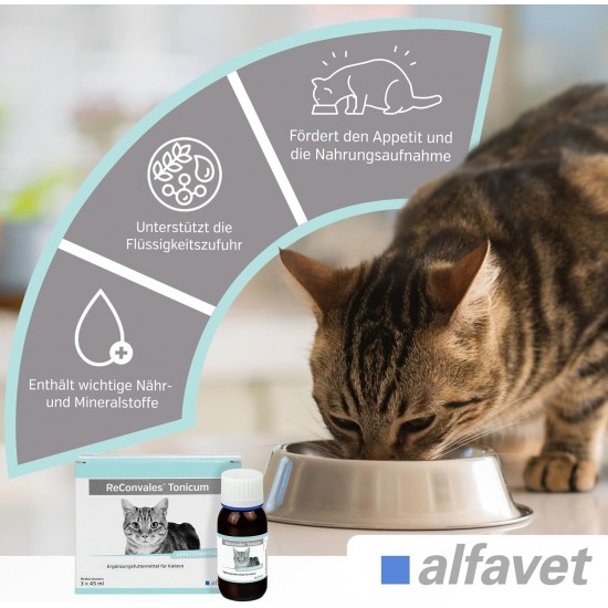 Alfavet Reconvales Tonicum for Cats, 1 per pack Alfavet Reconvales Tonicum for Cats, 1 per pack