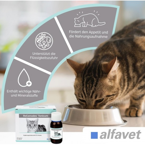 Alfavet Reconvales Tonicum for Cats, 1 per pack Alfavet Reconvales Tonicum for Cats, 1 per pack