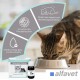 Alfavet Reconvales Tonicum for Cats, 1 per pack Alfavet Reconvales Tonicum for Cats, 1 per pack