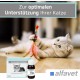 Alfavet Reconvales Tonicum for Cats, 1 per pack Alfavet Reconvales Tonicum for Cats, 1 per pack