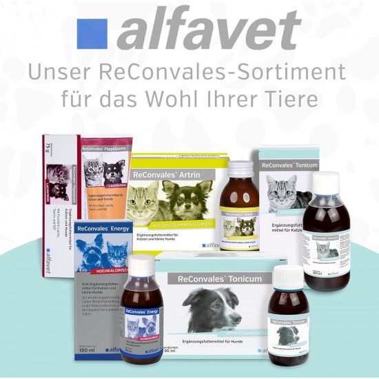 Alfavet Reconvales Tonicum for Cats, 1 per pack Alfavet Reconvales Tonicum for Cats, 1 per pack