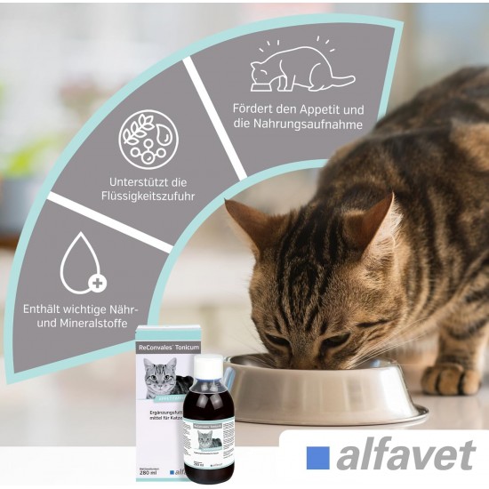 Alfavet Reconvales Tonicum for Cats, 1 per pack Alfavet Reconvales Tonicum for Cats, 1 per pack