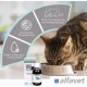 Alfavet Reconvales Tonicum for Cats, 1 per pack Alfavet Reconvales Tonicum for Cats, 1 per pack
