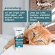 AmeizPet Gastro Intestinal Paste for Cats, Supports Intestinal Health and Intestinal Flora, Digestive Supplement for Cats and Kittens, 40 g (1.4 oz) AmeizPet Gastro Intestinal Paste for Cats, Supports Intestinal Health and Intestinal Flora, Digestive Supplement for Cats and Kittens, 40 g (1.4 oz)