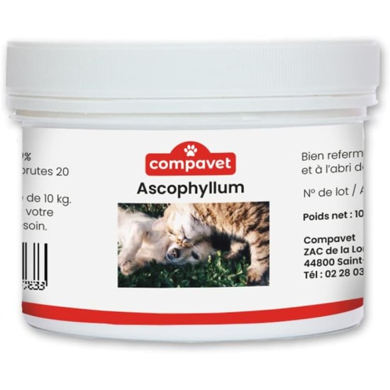 Ascophyllum Nodosum Powder for Dogs and Cats - Oral Hygiene - Reduces Plaque and Tartar - Prevents Bad Breath - Pot 100g - Developed in France Ascophyllum Nodosum Powder for Dogs and Cats - Oral Hygiene - Reduces Plaque and Tartar - Prevents Bad Breath - Pot 100g - Developed in France