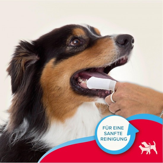 BEAPHAR - Dental Care Fingerling for Dogs and Cats - Thorough Teeth Cleaning - Fights Plaque - Well-Groomed Teeth - Pack of 2 BEAPHAR - Dental Care Fingerling for Dogs and Cats - Thorough Teeth Cleaning - Fights Plaque - Well-Groomed Teeth - Pack of 2