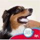 BEAPHAR - Dental Care Fingerling for Dogs and Cats - Thorough Teeth Cleaning - Fights Plaque - Well-Groomed Teeth - Pack of 2 BEAPHAR - Dental Care Fingerling for Dogs and Cats - Thorough Teeth Cleaning - Fights Plaque - Well-Groomed Teeth - Pack of 2