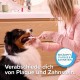 BEAPHAR - Dental care set for dogs and cats - double head toothbrush and toothpaste - combats plaque and tartar - with liver flavour - without fluorides - set with 1 toothbrush + 100 g toothpaste BEAPHAR - Dental care set for dogs and cats - double head toothbrush and toothpaste - combats plaque and tartar - with liver flavour - without fluorides - set with 1 toothbrush + 100 g toothpaste