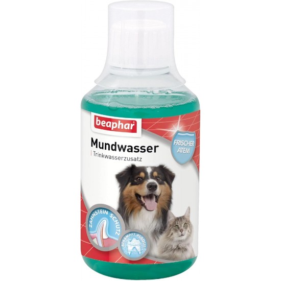 BEAPHAR - Dental care set for dogs and cats - double head toothbrush and toothpaste - combats plaque and tartar - with liver flavour - without fluorides - set with 1 toothbrush + 100 g toothpaste BEAPHAR - Dental care set for dogs and cats - double head toothbrush and toothpaste - combats plaque and tartar - with liver flavour - without fluorides - set with 1 toothbrush + 100 g toothpaste