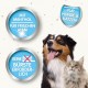 BEAPHAR - Dental care set for dogs and cats - double head toothbrush and toothpaste - combats plaque and tartar - with liver flavour - without fluorides - set with 1 toothbrush + 100 g toothpaste BEAPHAR - Dental care set for dogs and cats - double head toothbrush and toothpaste - combats plaque and tartar - with liver flavour - without fluorides - set with 1 toothbrush + 100 g toothpaste