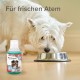 BEAPHAR - Dental care set for dogs and cats - double head toothbrush and toothpaste - combats plaque and tartar - with liver flavour - without fluorides - set with 1 toothbrush + 100 g toothpaste BEAPHAR - Dental care set for dogs and cats - double head toothbrush and toothpaste - combats plaque and tartar - with liver flavour - without fluorides - set with 1 toothbrush + 100 g toothpaste