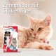 BEAPHAR - Dental care set for dogs and cats - double head toothbrush and toothpaste - combats plaque and tartar - with liver flavour - without fluorides - set with 1 toothbrush + 100 g toothpaste BEAPHAR - Dental care set for dogs and cats - double head toothbrush and toothpaste - combats plaque and tartar - with liver flavour - without fluorides - set with 1 toothbrush + 100 g toothpaste