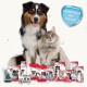 BEAPHAR - Dental care set for dogs and cats - double head toothbrush and toothpaste - combats plaque and tartar - with liver flavour - without fluorides - set with 1 toothbrush + 100 g toothpaste BEAPHAR - Dental care set for dogs and cats - double head toothbrush and toothpaste - combats plaque and tartar - with liver flavour - without fluorides - set with 1 toothbrush + 100 g toothpaste