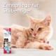 BEAPHAR - Dental care set for dogs and cats - double head toothbrush and toothpaste - combats plaque and tartar - with liver flavour - without fluorides - set with 1 toothbrush + 100 g toothpaste BEAPHAR - Dental care set for dogs and cats - double head toothbrush and toothpaste - combats plaque and tartar - with liver flavour - without fluorides - set with 1 toothbrush + 100 g toothpaste