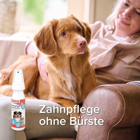 BEAPHAR - Dental care set for dogs and cats - double head toothbrush and toothpaste - combats plaque and tartar - with liver flavour - without fluorides - set with 1 toothbrush + 100 g toothpaste BEAPHAR - Dental care set for dogs and cats - double head toothbrush and toothpaste - combats plaque and tartar - with liver flavour - without fluorides - set with 1 toothbrush + 100 g toothpaste
