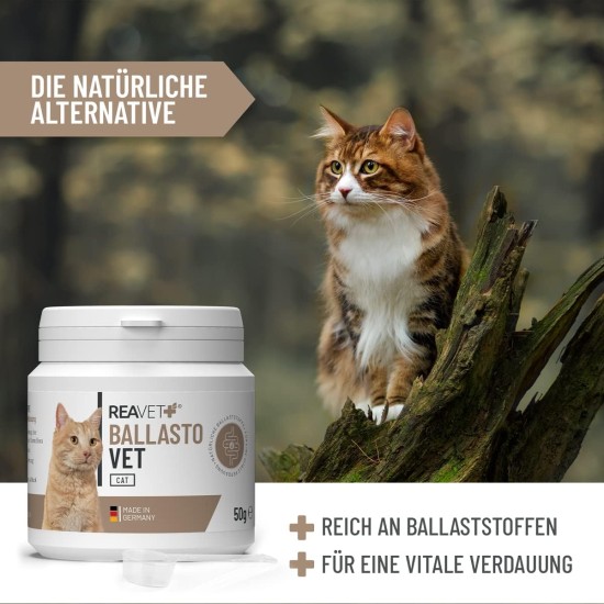 BallastoVET for Cats, 50 g, Quick Support for Constipations, Acute & Chronic Constipations & Solid Feces, Digestive Aid, Quick Aid for Intestinal Inertia BallastoVET for Cats, 50 g, Quick Support for Constipations, Acute & Chronic Constipations & Solid Feces, Digestive Aid, Quick Aid for Intestinal Inertia