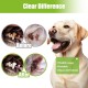 Bartuke Zahnpflege Finger Pads für Katzen Hunde, 60 Stück Fingerlinge Zahnpflege, Mundhygiene und frischen Atem - Reduziert Plaque Einwegzahnpflegetücher für Haustiere Bartuke Zahnpflege Finger Pads für Katzen Hunde, 60 Stück Fingerlinge Zahnpflege, Mundhygiene und frischen Atem - Reduziert Plaque Einwegzahnpflegetücher für Haustiere