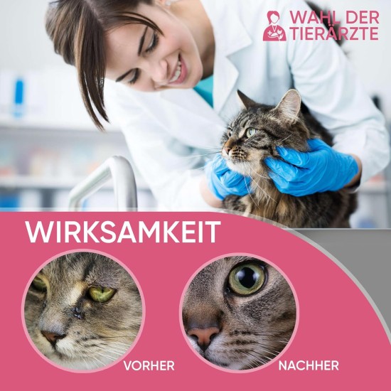 Baviette Cat Care Set: (300 times) Probiotic Plaque for Teeth Cleaning for Cats - Optimal Oral Care, Dental Care, Effective Against Bad Breath & Tartar, Odourless (Oral Care) Baviette Cat Care Set: (300 times) Probiotic Plaque for Teeth Cleaning for Cats - Optimal Oral Care, Dental Care, Effective Against Bad Breath & Tartar, Odourless (Oral Care)
