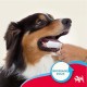 Beaphar Finger Pad Pack of 2 - Reusable Dental Finger Pads for Gentle Cleaning of Teeth - For Dogs and Cats Beaphar Finger Pad Pack of 2 - Reusable Dental Finger Pads for Gentle Cleaning of Teeth - For Dogs and Cats