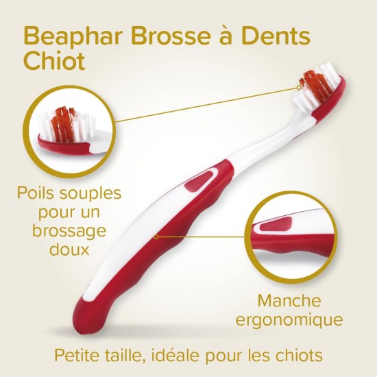 Beaphar Toothpaste & Brush Combipack - With Enzymes That Counteract Plaque Formation - Toothpaste and Toothpaste for Dogs and Cats Beaphar Toothpaste & Brush Combipack - With Enzymes That Counteract Plaque Formation - Toothpaste and Toothpaste for Dogs and Cats