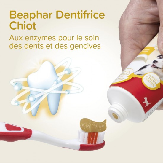 Beaphar Toothpaste & Brush Combipack - With Enzymes That Counteract Plaque Formation - Toothpaste and Toothpaste for Dogs and Cats Beaphar Toothpaste & Brush Combipack - With Enzymes That Counteract Plaque Formation - Toothpaste and Toothpaste for Dogs and Cats
