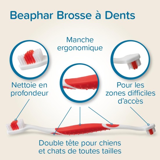 Beaphar Toothpaste & Brush Combipack - With Enzymes That Counteract Plaque Formation - Toothpaste and Toothpaste for Dogs and Cats Beaphar Toothpaste & Brush Combipack - With Enzymes That Counteract Plaque Formation - Toothpaste and Toothpaste for Dogs and Cats