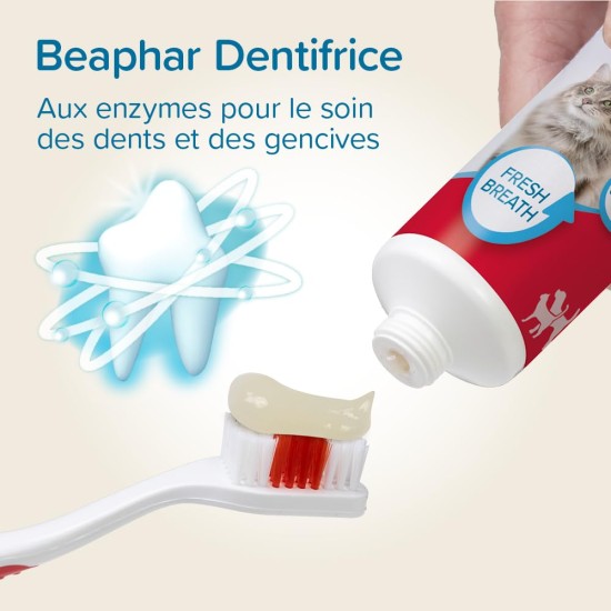 Beaphar Toothpaste & Brush Combipack - With Enzymes That Counteract Plaque Formation - Toothpaste and Toothpaste for Dogs and Cats Beaphar Toothpaste & Brush Combipack - With Enzymes That Counteract Plaque Formation - Toothpaste and Toothpaste for Dogs and Cats