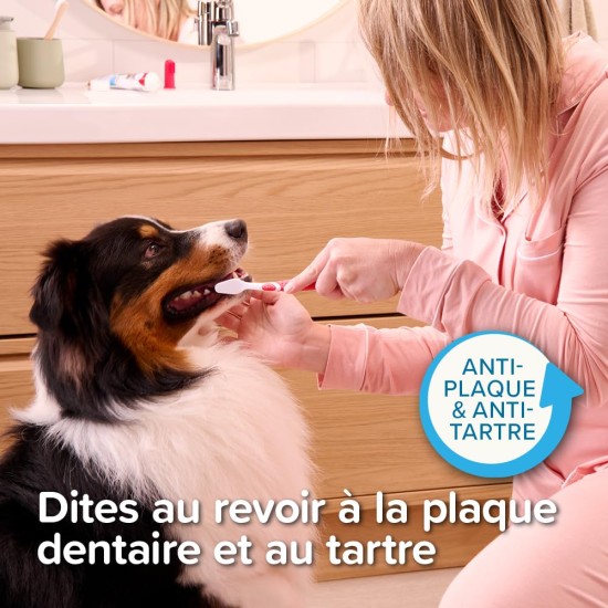 Beaphar Toothpaste & Brush Combipack - With Enzymes That Counteract Plaque Formation - Toothpaste and Toothpaste for Dogs and Cats Beaphar Toothpaste & Brush Combipack - With Enzymes That Counteract Plaque Formation - Toothpaste and Toothpaste for Dogs and Cats