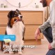 Beaphar Toothpaste & Brush Combipack - With Enzymes That Counteract Plaque Formation - Toothpaste and Toothpaste for Dogs and Cats Beaphar Toothpaste & Brush Combipack - With Enzymes That Counteract Plaque Formation - Toothpaste and Toothpaste for Dogs and Cats