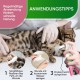 Cat Care Set: (300 times) Probiotic Plaque for Teeth Cleaning for Cats - Optimal Oral Care, Dental Care, Effective Against Bad Breath & Tartar, Odourless (Oral Care) Cat Care Set: (300 times) Probiotic Plaque for Teeth Cleaning for Cats - Optimal Oral Care, Dental Care, Effective Against Bad Breath & Tartar, Odourless (Oral Care)