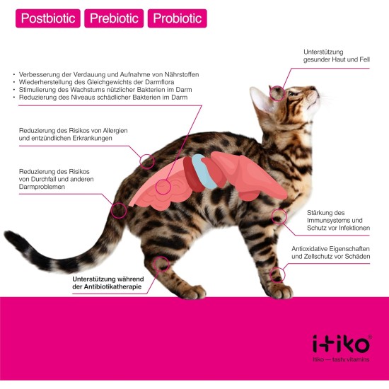 Cat Dental Care | Natural Dental Care Cats Removes Plaque & Provides Fresh Breath | Fights Bad Breath | Effective Tartar Remover for Cats | Alternative to Tartar Spray Cat Dental Care | Natural Dental Care Cats Removes Plaque & Provides Fresh Breath | Fights Bad Breath | Effective Tartar Remover for Cats | Alternative to Tartar Spray