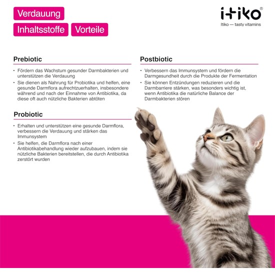Cat Dental Care | Natural Dental Care Cats Removes Plaque & Provides Fresh Breath | Fights Bad Breath | Effective Tartar Remover for Cats | Alternative to Tartar Spray Cat Dental Care | Natural Dental Care Cats Removes Plaque & Provides Fresh Breath | Fights Bad Breath | Effective Tartar Remover for Cats | Alternative to Tartar Spray