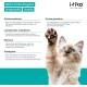 Cat Dental Care | Natural Dental Care Cats Removes Plaque & Provides Fresh Breath | Fights Bad Breath | Effective Tartar Remover for Cats | Alternative to Tartar Spray Cat Dental Care | Natural Dental Care Cats Removes Plaque & Provides Fresh Breath | Fights Bad Breath | Effective Tartar Remover for Cats | Alternative to Tartar Spray