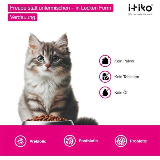 Cat Dental Care | Natural Dental Care Cats Removes Plaque & Provides Fresh Breath | Fights Bad Breath | Effective Tartar Remover for Cats | Alternative to Tartar Spray Cat Dental Care | Natural Dental Care Cats Removes Plaque & Provides Fresh Breath | Fights Bad Breath | Effective Tartar Remover for Cats | Alternative to Tartar Spray