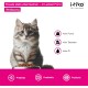 Cat Dental Care | Natural Dental Care Cats Removes Plaque & Provides Fresh Breath | Fights Bad Breath | Effective Tartar Remover for Cats | Alternative to Tartar Spray Cat Dental Care | Natural Dental Care Cats Removes Plaque & Provides Fresh Breath | Fights Bad Breath | Effective Tartar Remover for Cats | Alternative to Tartar Spray