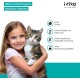 Cat Dental Care | Natural Dental Care Cats Removes Plaque & Provides Fresh Breath | Fights Bad Breath | Effective Tartar Remover for Cats | Alternative to Tartar Spray Cat Dental Care | Natural Dental Care Cats Removes Plaque & Provides Fresh Breath | Fights Bad Breath | Effective Tartar Remover for Cats | Alternative to Tartar Spray