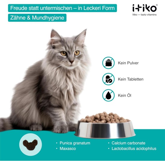 Cat Dental Care | Natural Dental Care Cats Removes Plaque & Provides Fresh Breath | Fights Bad Breath | Effective Tartar Remover for Cats | Alternative to Tartar Spray Cat Dental Care | Natural Dental Care Cats Removes Plaque & Provides Fresh Breath | Fights Bad Breath | Effective Tartar Remover for Cats | Alternative to Tartar Spray