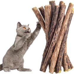 Cat Dental Chew Sticks: 5 x Premium Matatabi Sticks as Toothbrush Toy - Natural Silvervine Dental Chews for Teeth Cleaning Toy for Indoor Use - PrettyKitty Cat Toy Cat Dental Chew Sticks: 5 x Premium Matatabi Sticks as Toothbrush Toy - Natural Silvervine Dental Chews for Teeth Cleaning Toy for Indoor Use - PrettyKitty Cat Toy