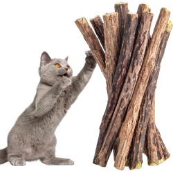 Cat Dental Chew Sticks: 5 x Premium Matatabi Sticks as Toothbrush Toy - Natural Silvervine Dental Chews for Teeth Cleaning Toy for Indoor Use - PrettyKitty Cat Toy Cat Dental Chew Sticks: 5 x Premium Matatabi Sticks as Toothbrush Toy - Natural Silvervine Dental Chews for Teeth Cleaning Toy for Indoor Use - PrettyKitty Cat Toy