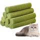 Cat Grass Sticks, Cat Grass Snack, Catnip, Cat Snacks, Cat Dental Care, Freeze-Dried Snacks for Cats for Dental Care and Hair Balls Removal Cat Grass Sticks, Cat Grass Snack, Catnip, Cat Snacks, Cat Dental Care, Freeze-Dried Snacks for Cats for Dental Care and Hair Balls Removal