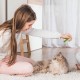 Cat Grass Sticks, Cat Grass Snack, Catnip, Cat Snacks, Cat Dental Care, Freeze-Dried Snacks for Cats for Dental Care and Hair Balls Removal Cat Grass Sticks, Cat Grass Snack, Catnip, Cat Snacks, Cat Dental Care, Freeze-Dried Snacks for Cats for Dental Care and Hair Balls Removal