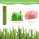 Cat Grass Sticks, Cat Grass Snack, Catnip, Cat Snacks, Cat Dental Care, Freeze-Dried Snacks for Cats for Dental Care and Hair Balls Removal Cat Grass Sticks, Cat Grass Snack, Catnip, Cat Snacks, Cat Dental Care, Freeze-Dried Snacks for Cats for Dental Care and Hair Balls Removal